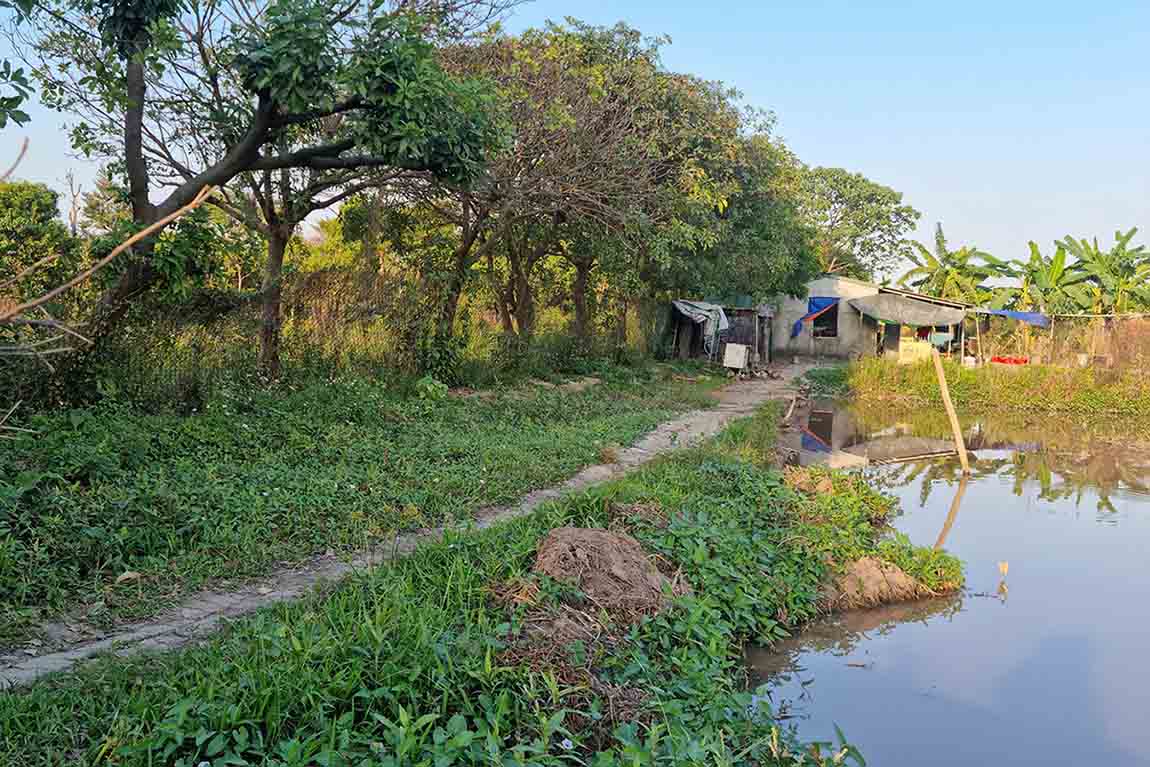 Cay coi, tai san tren khu dat thue thau cua gia dinh ba Nguyen Thi Duyen (xa Kieu Ky). Anh: Duong Nguyen