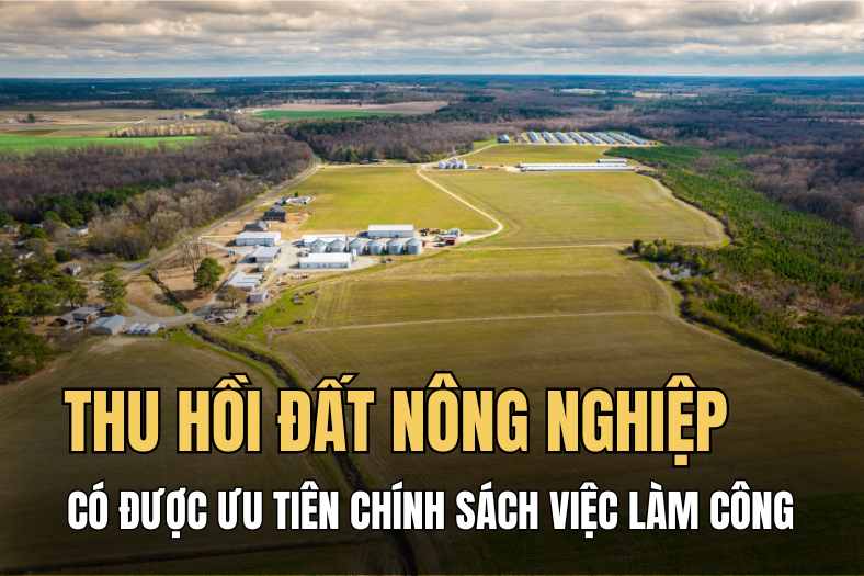 Người dân thuộc hộ bị thu hồi đất nông nghiệp có được ưu tiên chính sách việc làm công? Đồ hoạ: Hải Ly
