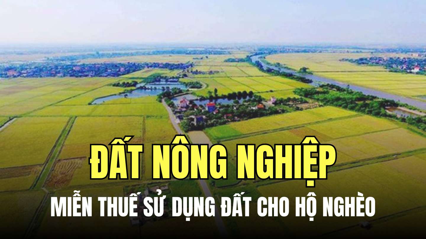 Hộ gia đình là hộ nghèo thuộc đối tượng được miễn thuế sử dụng đất nông nghiệp. Đồ họa: Minh Thương