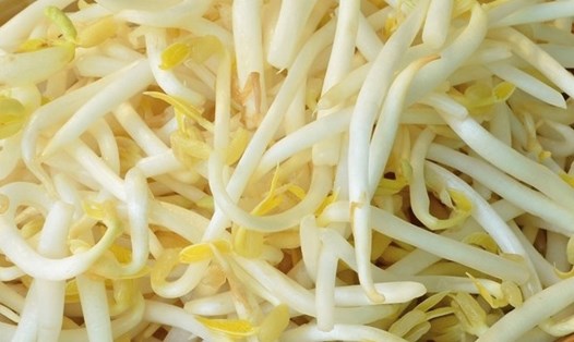 Giá đỗ có thể có tác dụng hạ đường huyết nhưng cần lưu ý tác dụng này còn phụ thuộc vào nhiều yếu tố, bao gồm chế độ ăn uống, lối sống, mức độ bệnh của từng người. Ảnh: Kiều Vũ