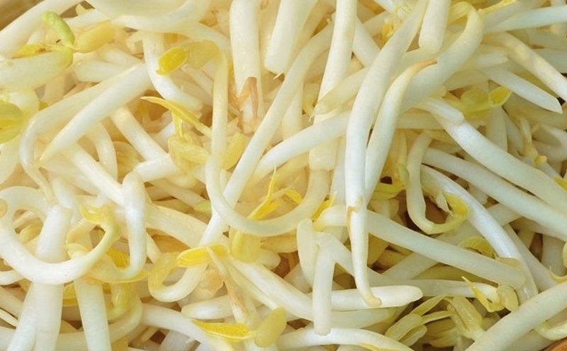 Bean sprouts may have the effect of lowering blood sugar, but it should be noted that this effect depends on many factors, including diet, lifestyle, and the severity of each person's illness. Photo: Kieu Vu