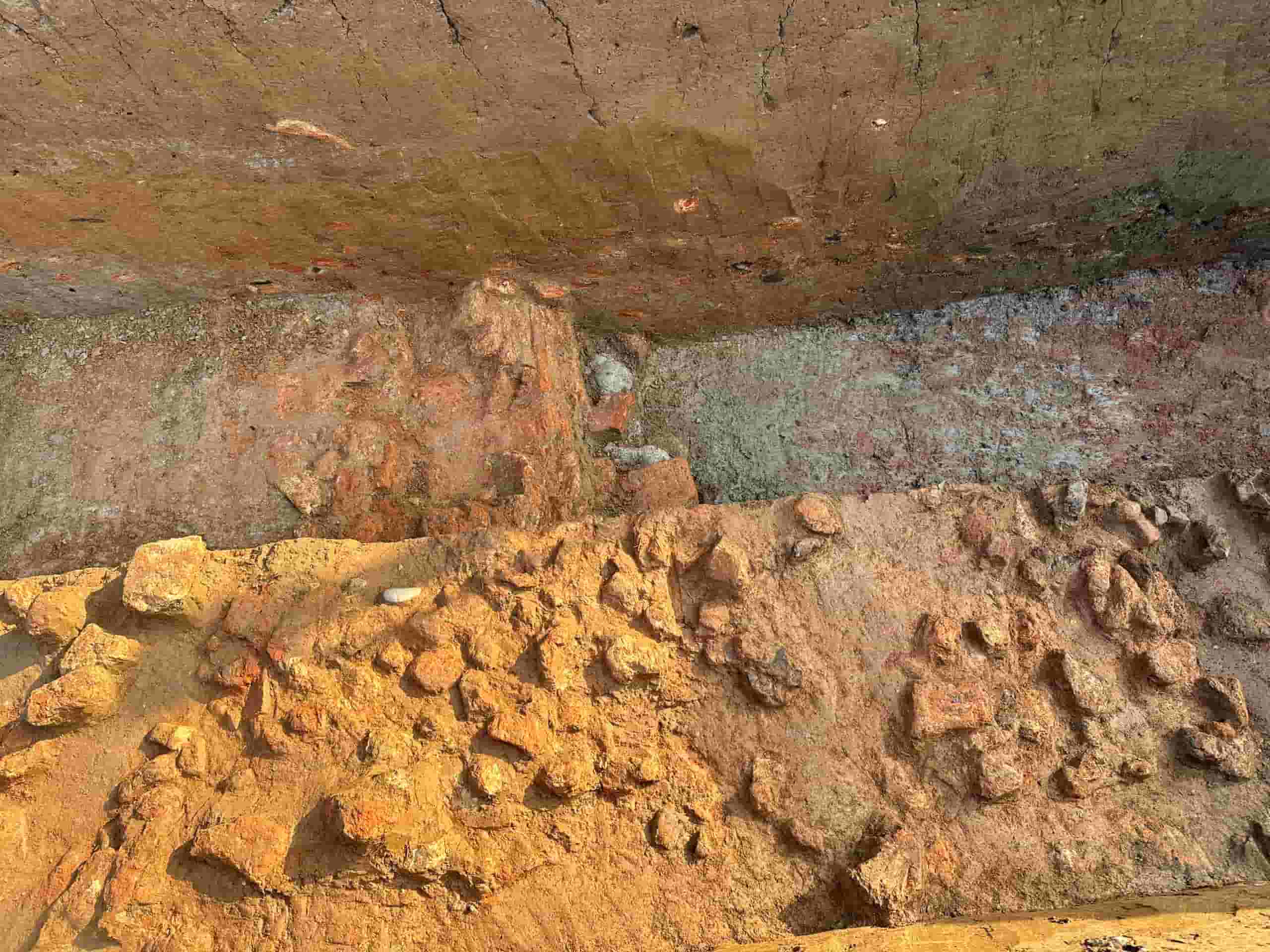 A section of the embankment is possibly the Hoa Lu citadel wall. Photo: Nguyen Truong