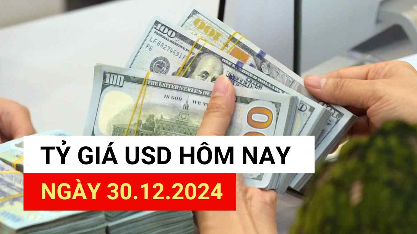 USD exchange rate today 12/30/2024.