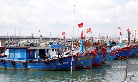 Quảng Bình thống kê tàu cá bị sự cố mất kết nối. Ảnh: Công Sáng