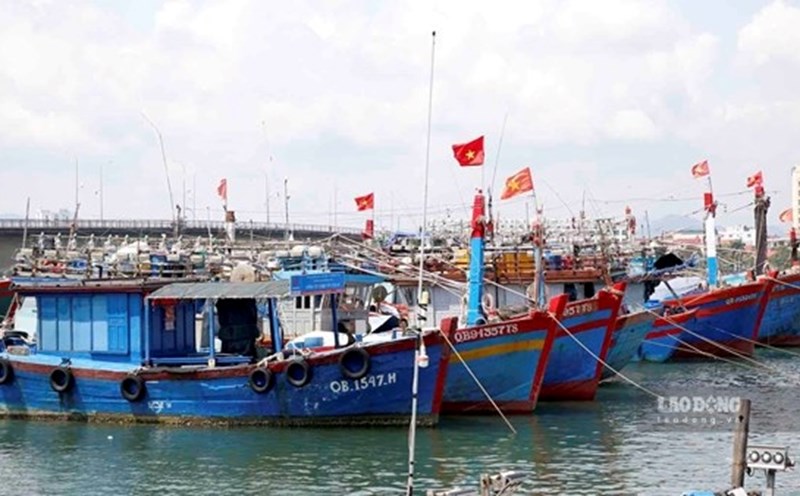 Quang Binh reports on fishing boats experiencing connection loss. Photo: Cong Sang