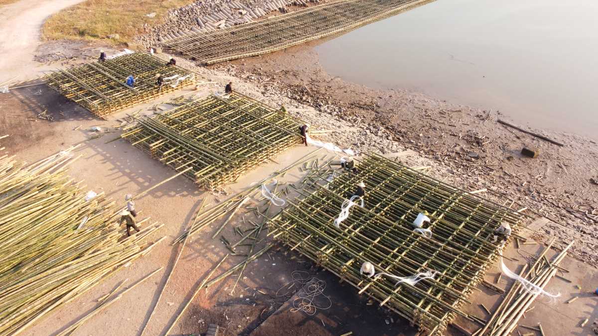 A large amount of bamboo is being prepared by Quang Yen fishermen to be brought to the shore of Ha Long Bay for aquaculture. Photo: Doan Hung