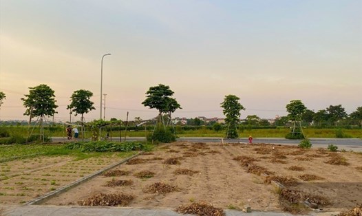 Giá chung cư, đất nền tăng 60-70% trong 5 năm qua. Ảnh minh họa: Tuyết Lan