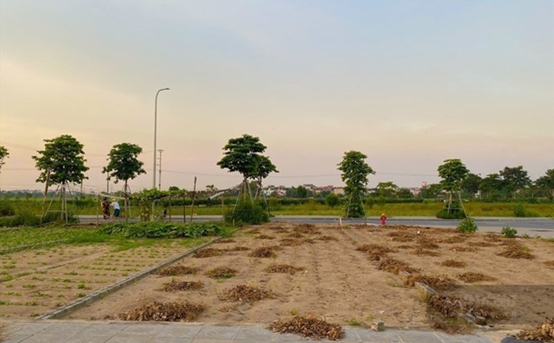 Apartment and land prices have increased by 60-70% in the past 5 years. Illustration photo: Tuyet Lan