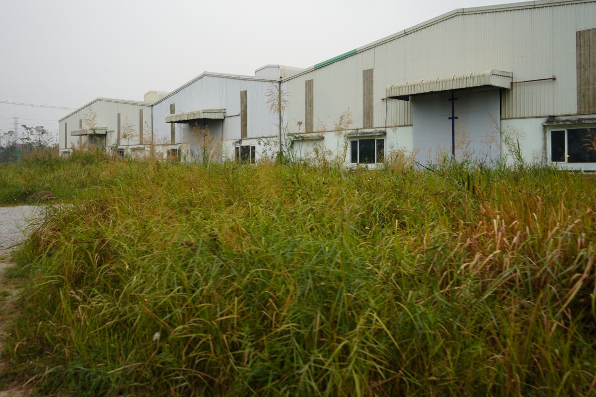 The investment project to build an NPK fertilizer factory in Kien Bai commune, Thuy Nguyen district, Hai Phong has been abandoned for many years. Photo: Hoang Khoi