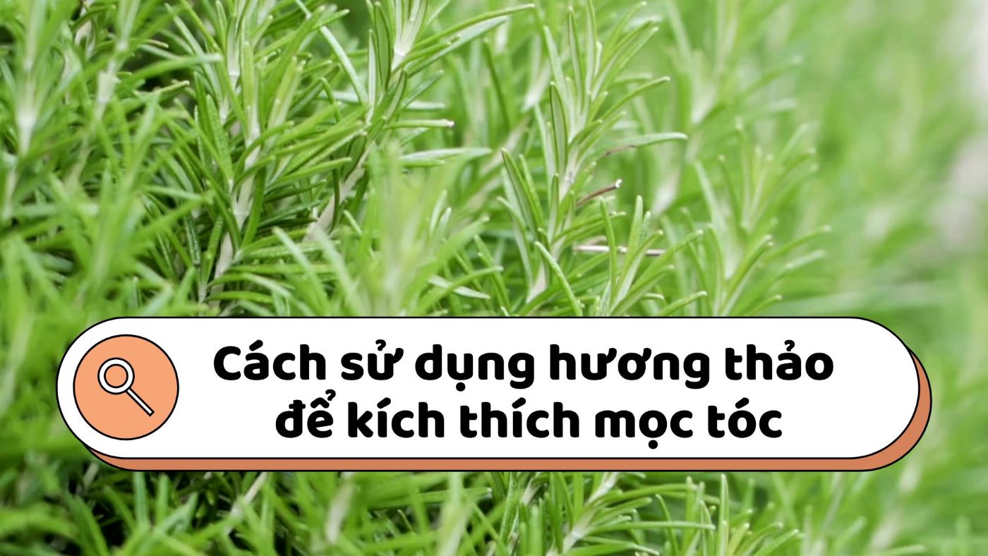 Rosemary helps stimulate hair growth