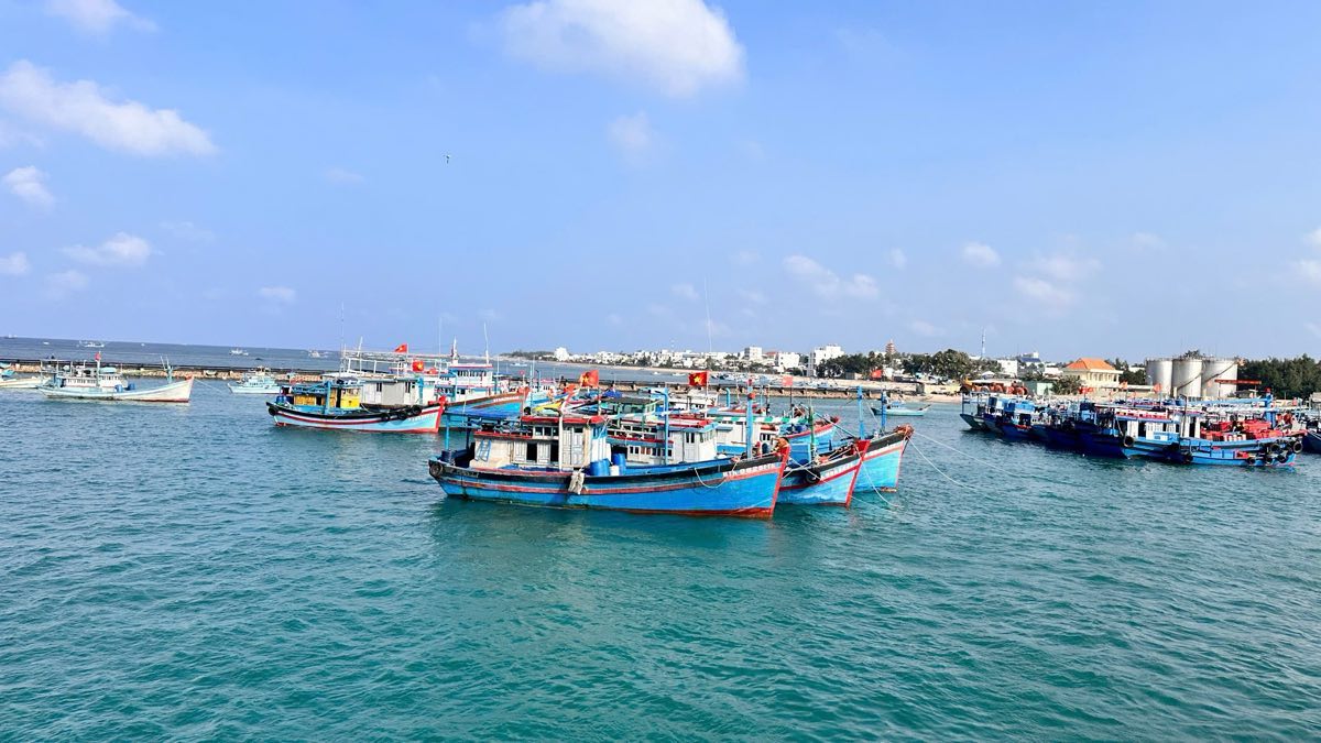 Tau ca neo dau tai dao Phu Quy. Anh: Duy Tuan 