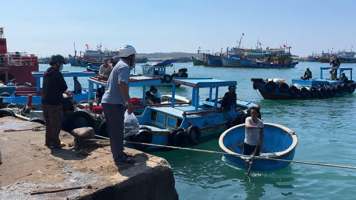 Cac tau ca cap vao cang Phu Quy de boc do hai san. Anh: Duy Tuan 