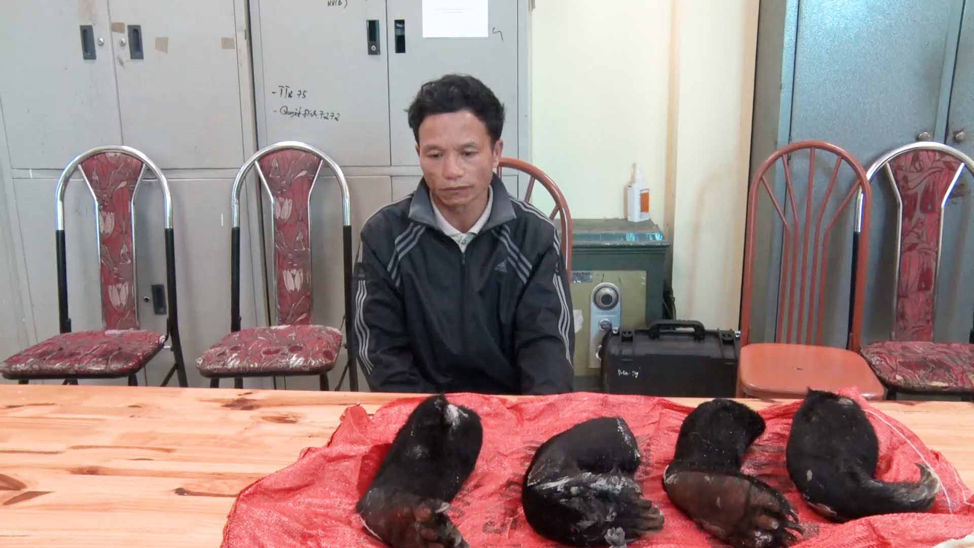 Arrest of illegal wildlife trafficking