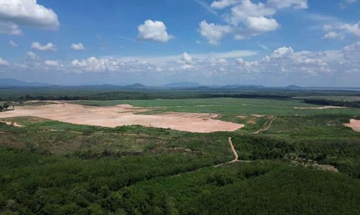 Một số khu vực đất nông, lâm nghiệp trên địa bàn huyện Ea Súp, tỉnh Đắk Lắk vẫn chưa được khai thác hiệu quả. Ảnh: Bảo Trung
