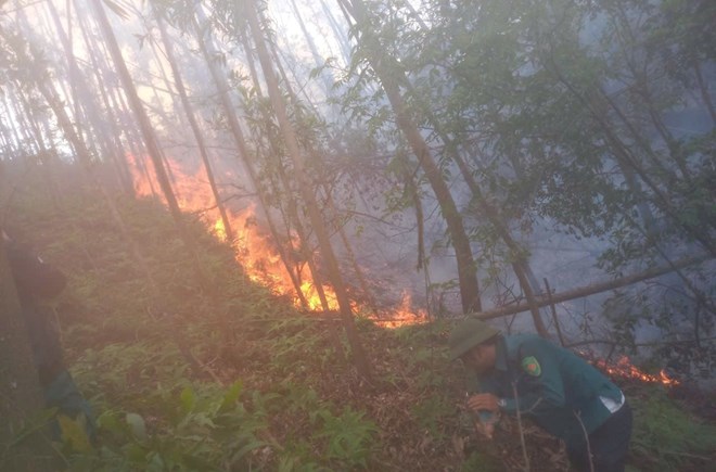 A forest fire suddenly broke out in Le Ninh commune, Kinh Mon town, Hai Duong province. Photo: Provided by local people