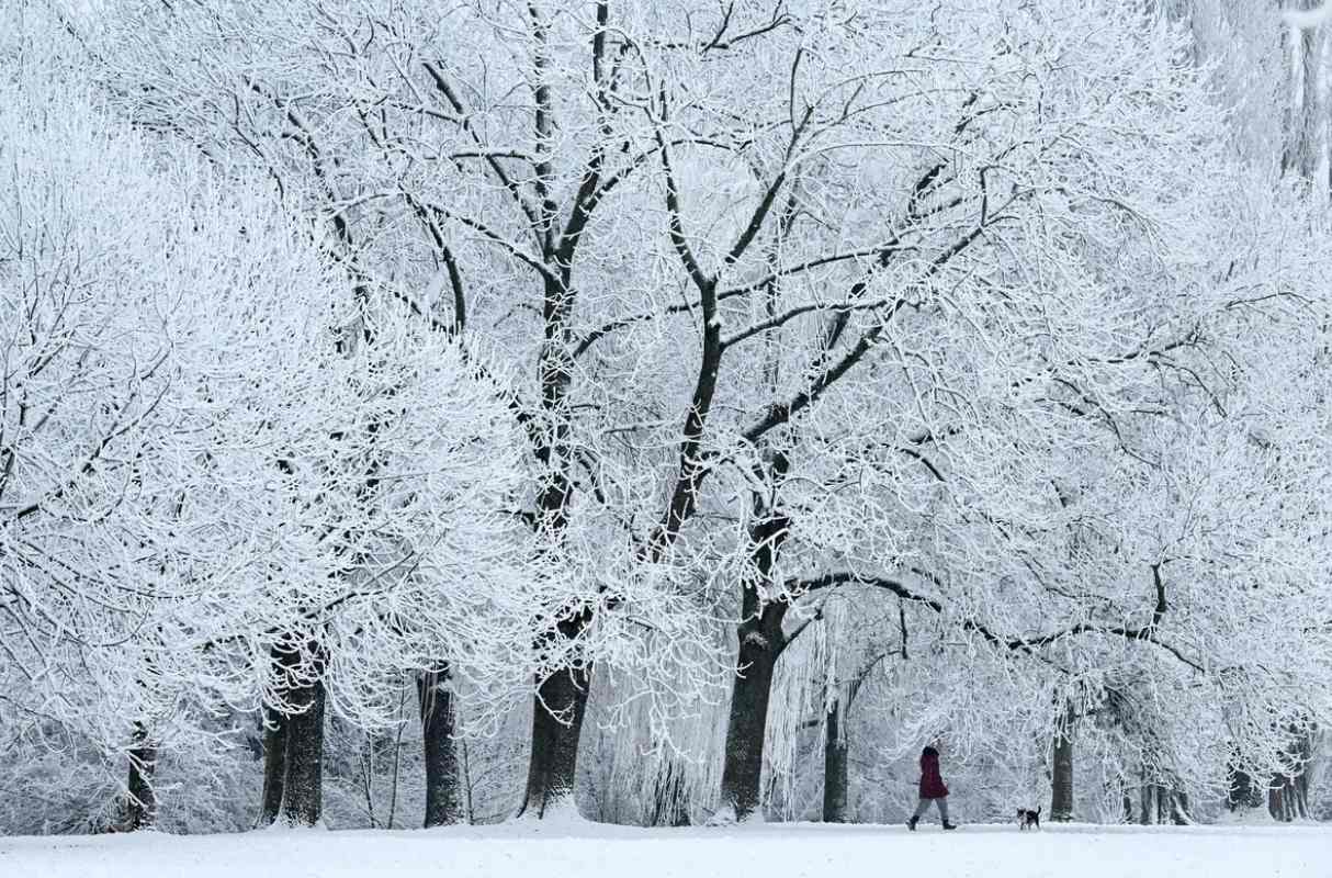 Tuyết rơi dày ở Frankfurt, miền tây nước Đức, vào ngày 29.12.2024. Ảnh: AFP