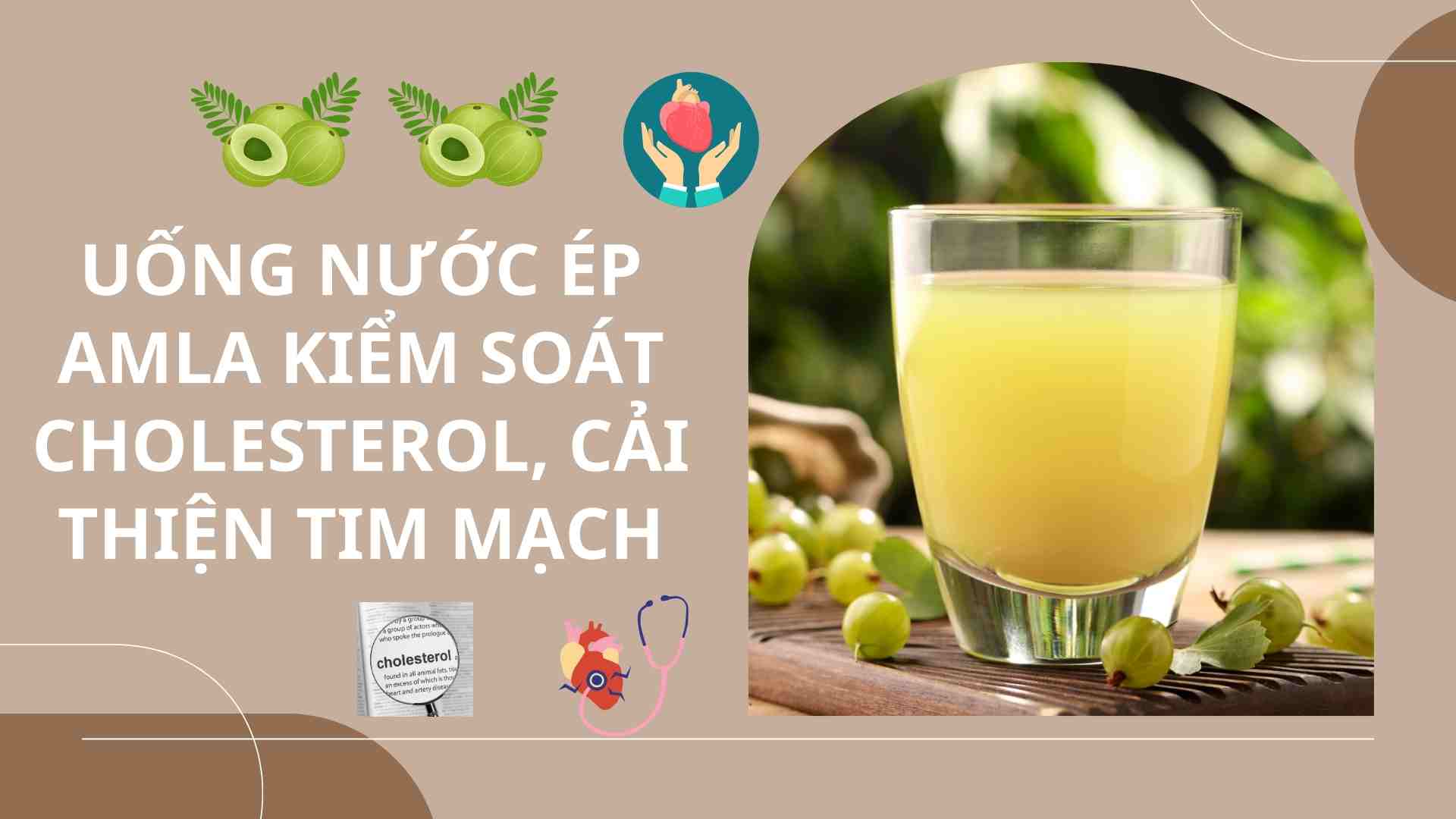 Drinking amla juice controls cholesterol and improves cardiovascular health. Graphics: Cao Thom