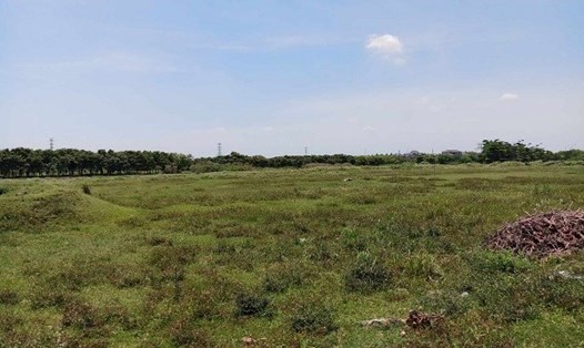 Thị trường đất nền một số khu vực đang tăng nhiệt. Ảnh minh họa: Lục Giang