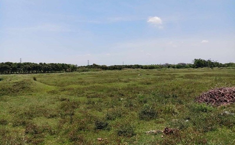 The land market in some areas is heating up. Illustration photo: Luc Giang