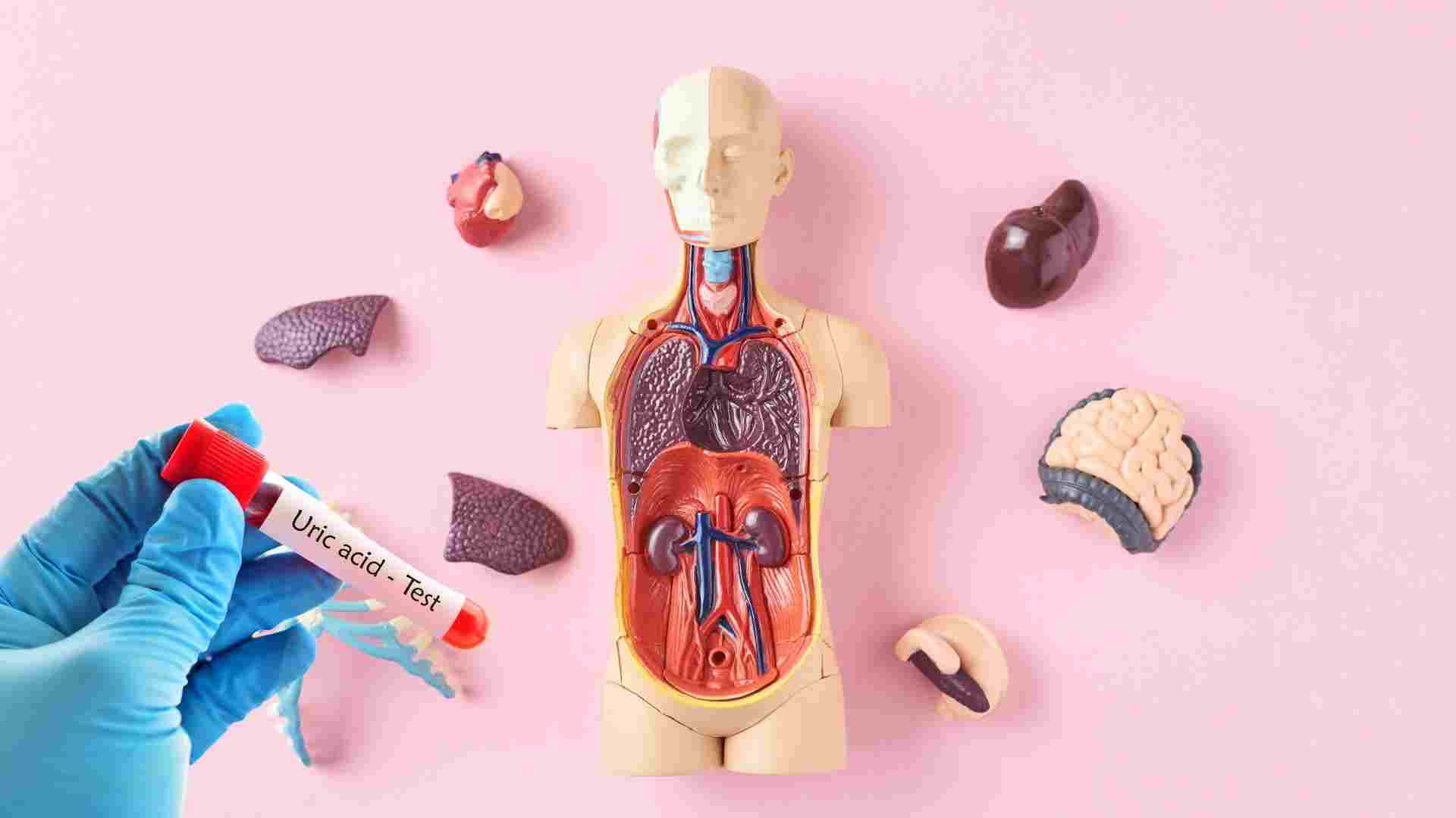 High uric acid easily attacks body parts. Graphics: Ha May