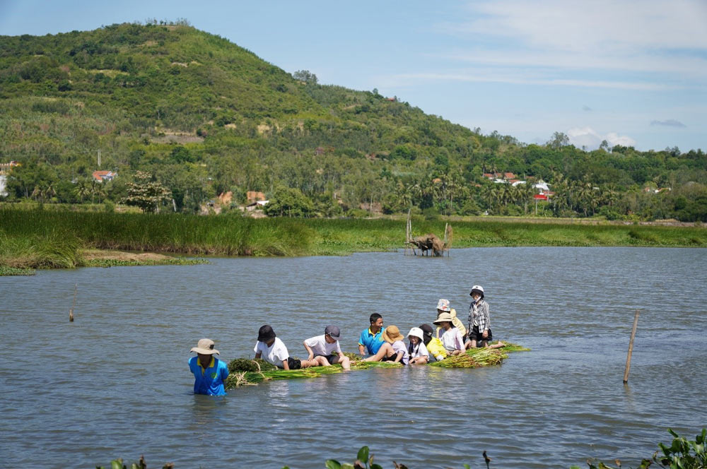 Trai nghiem mua thu hoach coi o lang chieu hon 100 tuoi tai Tuy An, Phu Yen.