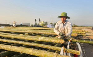 Chạy đua với thời gian hồi sinh ngành thủy sản ở Quảng Ninh