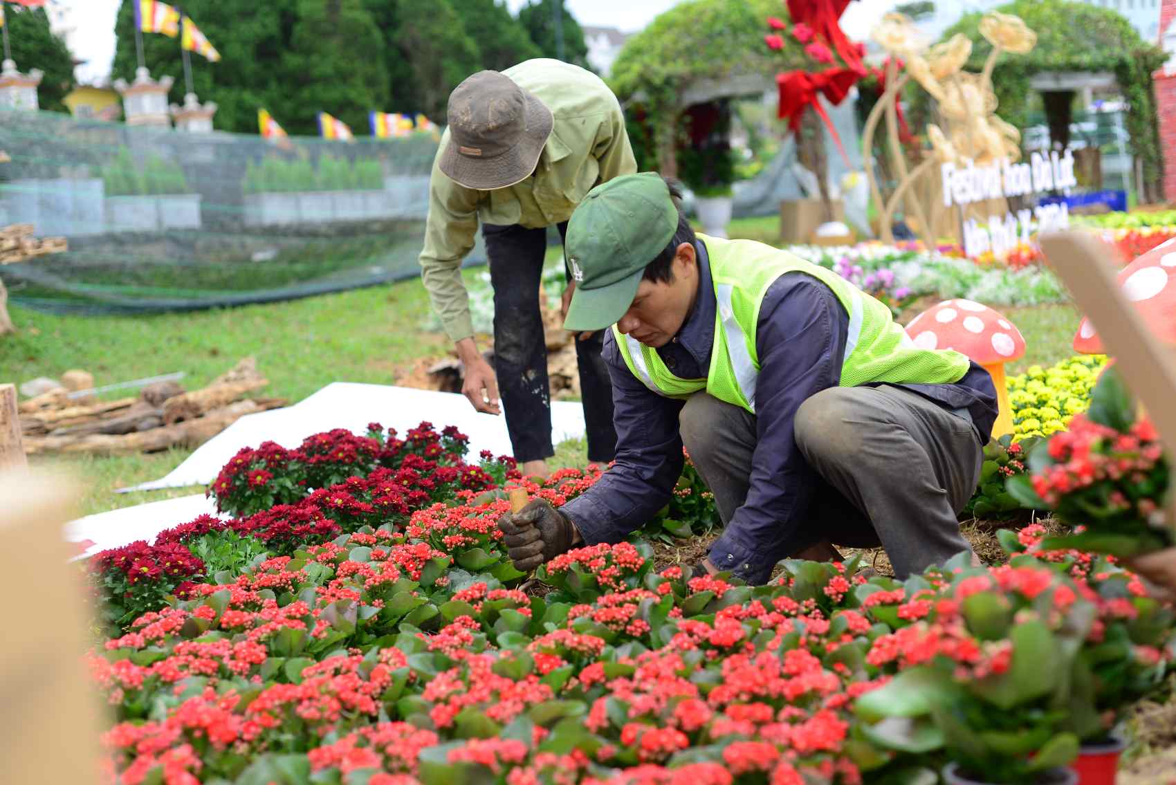 Da Lat is brilliant before the 2024 Flower Festival