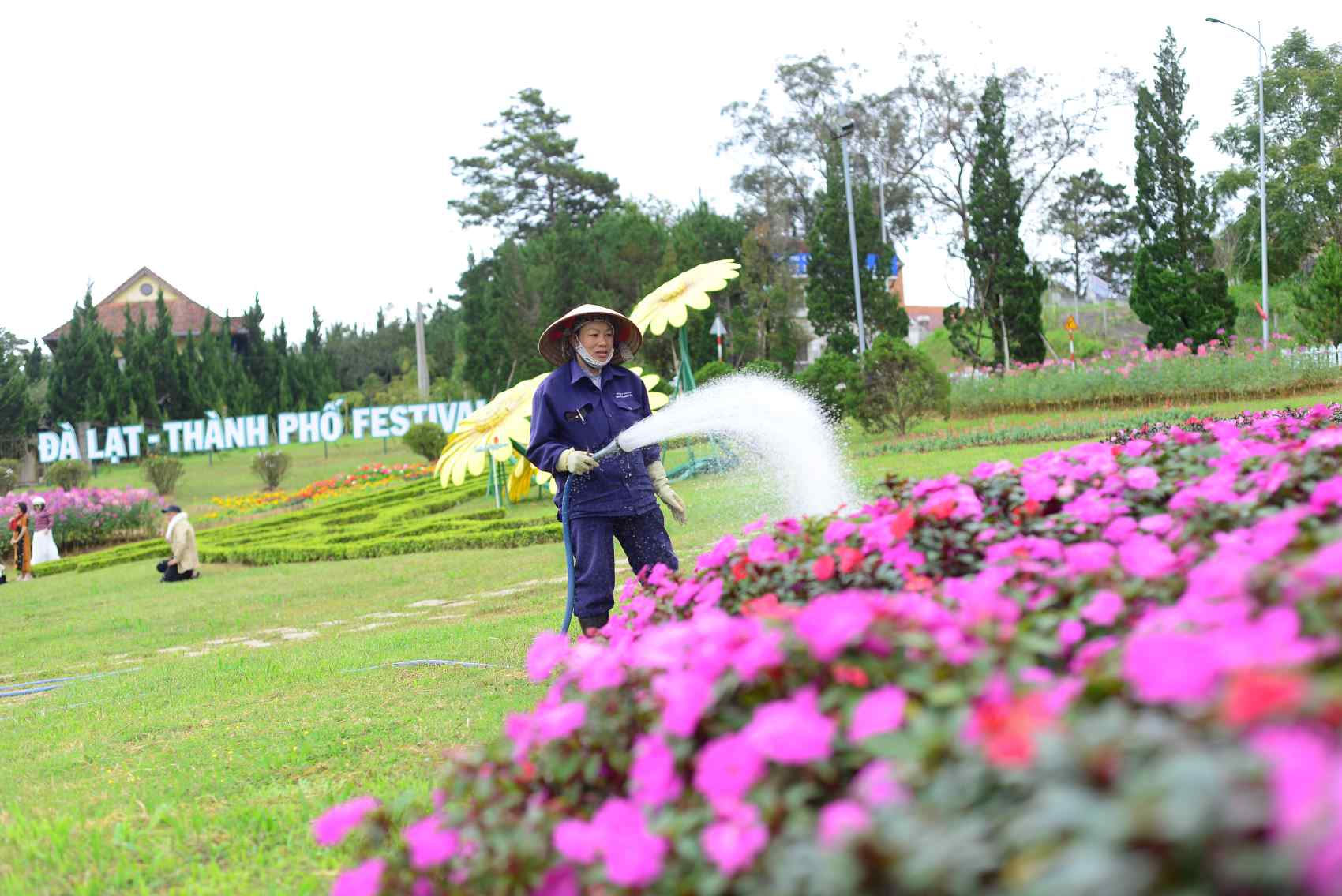 Many streets and public spaces in Da Lat city are brightly colored. Photo: Lam Hong