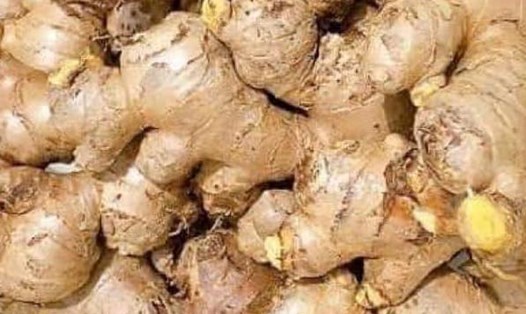 Nước gừng là một trong 5 thức uống vào mùa đông giúp giảm mỡ nội tạng. Ảnh: Kiều Vũ