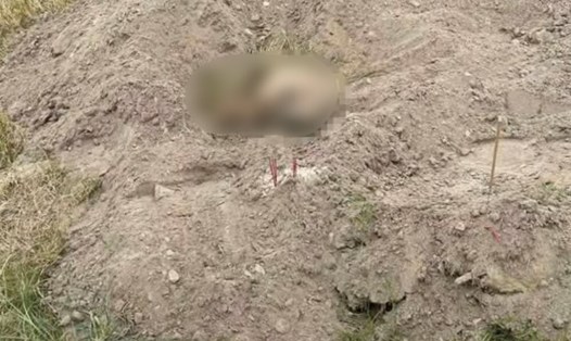 Hộp sọ người được phát hiện trên bãi bồi sông Hồng thuộc địa phận xã Vĩnh Lại, huyện Lâm Thao. Ảnh: CTV.