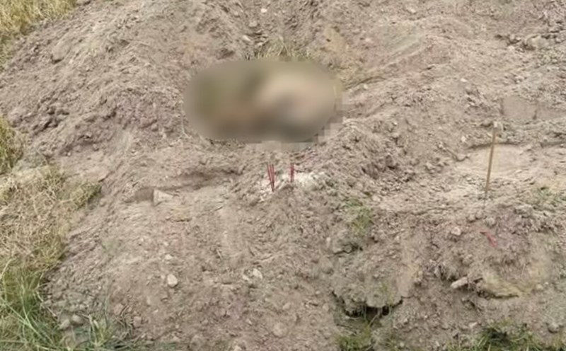 A human skull was discovered on the Red River alluvial land in Vinh Lai commune, Lam Thao district. Photo: Contributor.