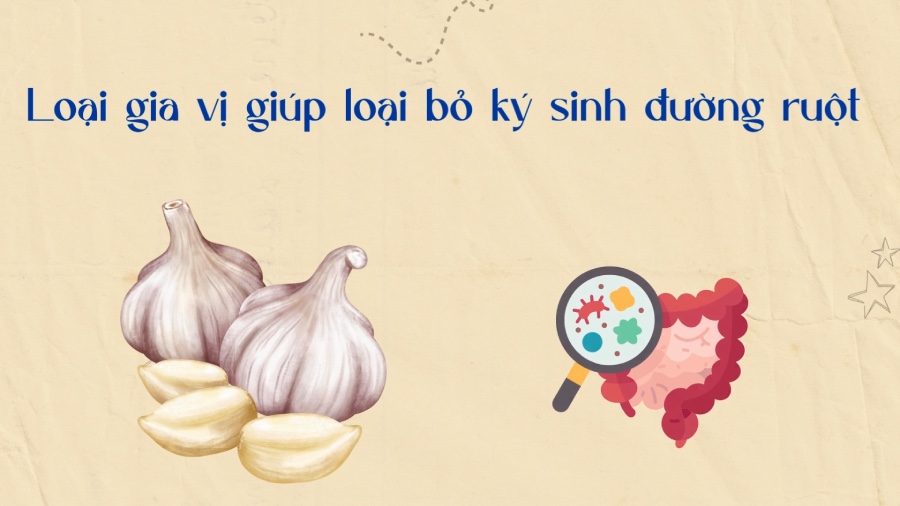 Spices that help eliminate intestinal parasites. Graphics: Phuong Anh