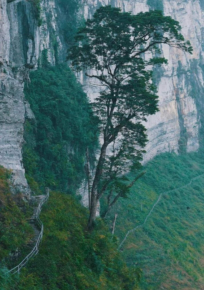 “Nếu có thể, hãy lên lịch một chuyến đi dù ngắn hay dài. Chính những chuyến đi này sẽ khiến mình thêm yêu cuộc sống và đất nước. Được trò chuyện với những người xa lạ, lắng nghe câu chuyện của mỗi người sẽ khiến mình có thêm nhiều điều mới mẻ, niềm cảm hứng cùng năng lượng tốt để tiếp tục cuộc sống”, anh Sơn khẳng định. Ảnh: NVCC