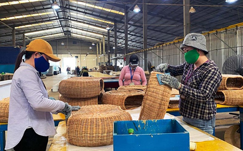 Workers in Phu Yen province are consulted and introduced to work in industrial parks. Photo: Tuong An