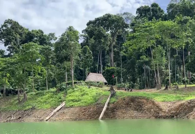 Rung dau nguon tai huyen Nam Giang, Quang Nam. Anh: Nguyen Hoang