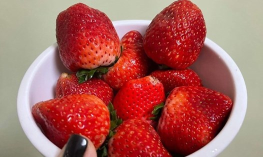 Dâu tây là loại trái cây giúp giảm cân và kéo dài tuổi thọ. Ảnh: Thanh Thanh