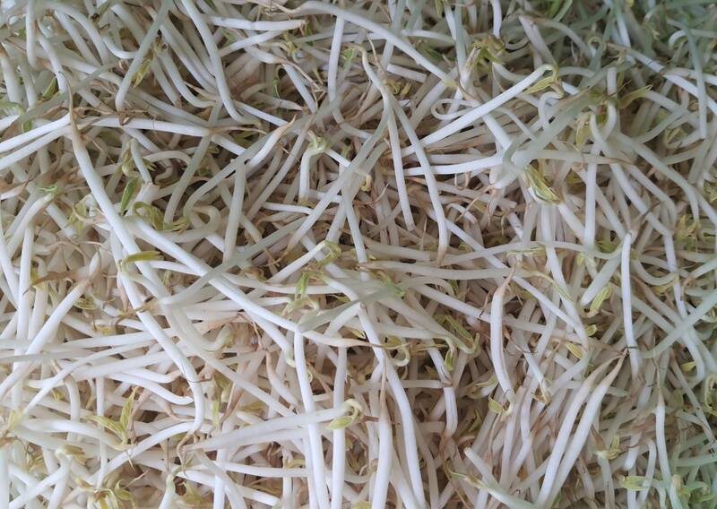 Giá đỗ giúp giảm mỡ nội tạng, mỡ bụng. Ảnh: Hạ Mây