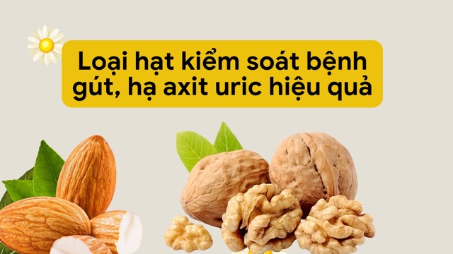 Almonds contain little purine, which helps eliminate uric acid effectively. Photo: HUONG SON