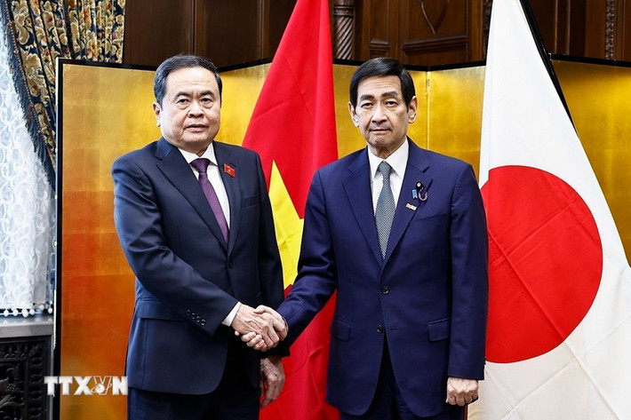 National Assembly Chairman Tran Thanh Man and President of the Japanese House of Councillors Sekiguchi Masakazu. Photo: VNA
