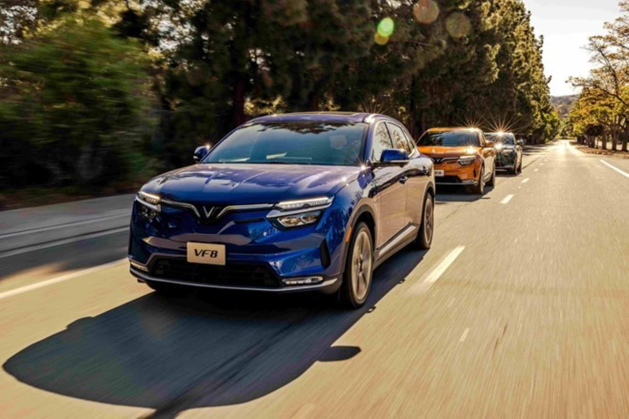 The conversion of vehicles from internal combustion engines to green vehicles such as electric vehicles... should be considered inevitable. Photo: VinFast