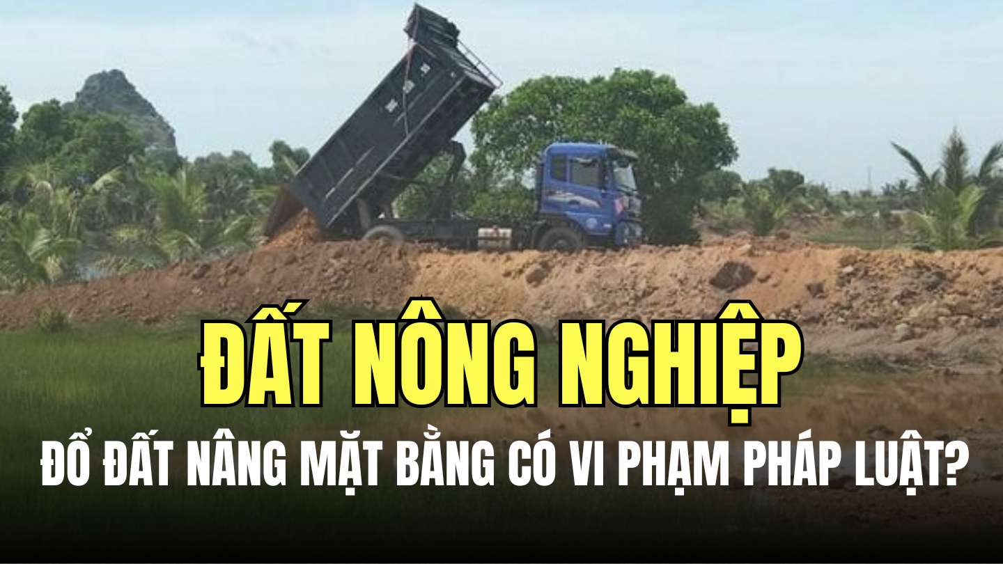 Việc đổ đất làm biến dạng bề mặt đất nông nghiệp có thể bị xem là hủy hoại đất đai. Đồ họa: Minh Thương