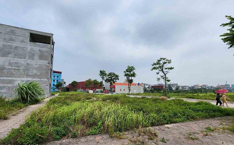 Choosing a beautiful plot of land is not easy if the buyer has no experience, especially at the present time. Photo: Cao Nguyen