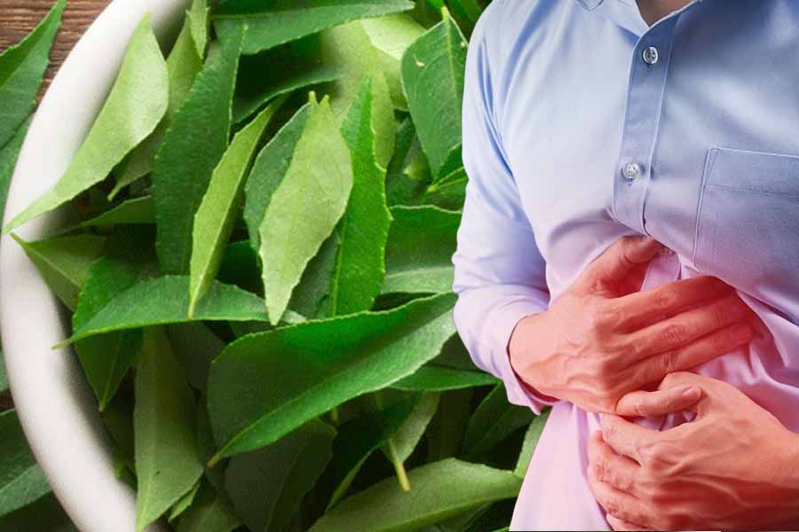 Curry leaves can help you relieve indigestion symptoms. Graphics: Thien Nhan