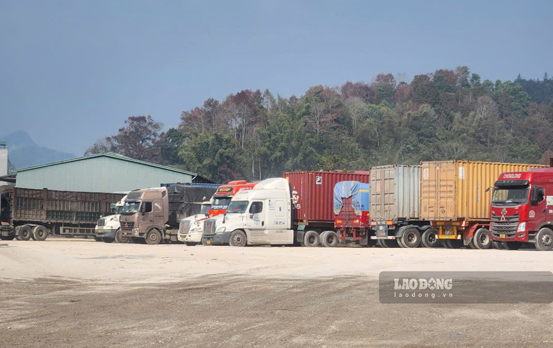 Mot bai xe container tai khu vuc loi mo Na Don - Na Ray (Cua khau Quoc te Tra Linh). Anh: Tan Van.