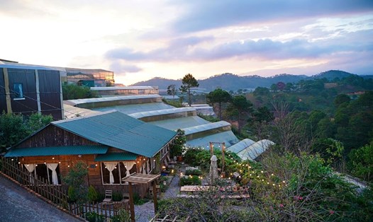 Nhiều cơ sở lưu trú sẵn sàng phục vụ khách trong dịp Festival hoa Đà Lạt lần thứ X. Ảnh: Đình Quang