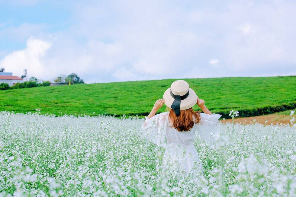 Anh: Duong Duong Blog