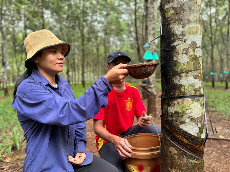 Many workers in the agricultural and forestry sector in Dak Lak are in difficult circumstances and need support during the Lunar New Year. Photo: Bao Trung