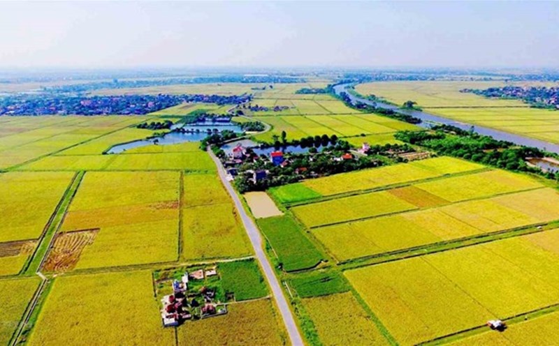Many risks when buying agricultural land waiting to be converted to residential land