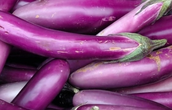 Eggplant is said to help reduce visceral fat and lose weight. Photo: Kieu Vu