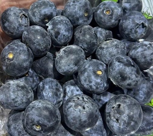 This fruit is considered a "superfood" in supporting weight loss. Photo: Kieu Vu
